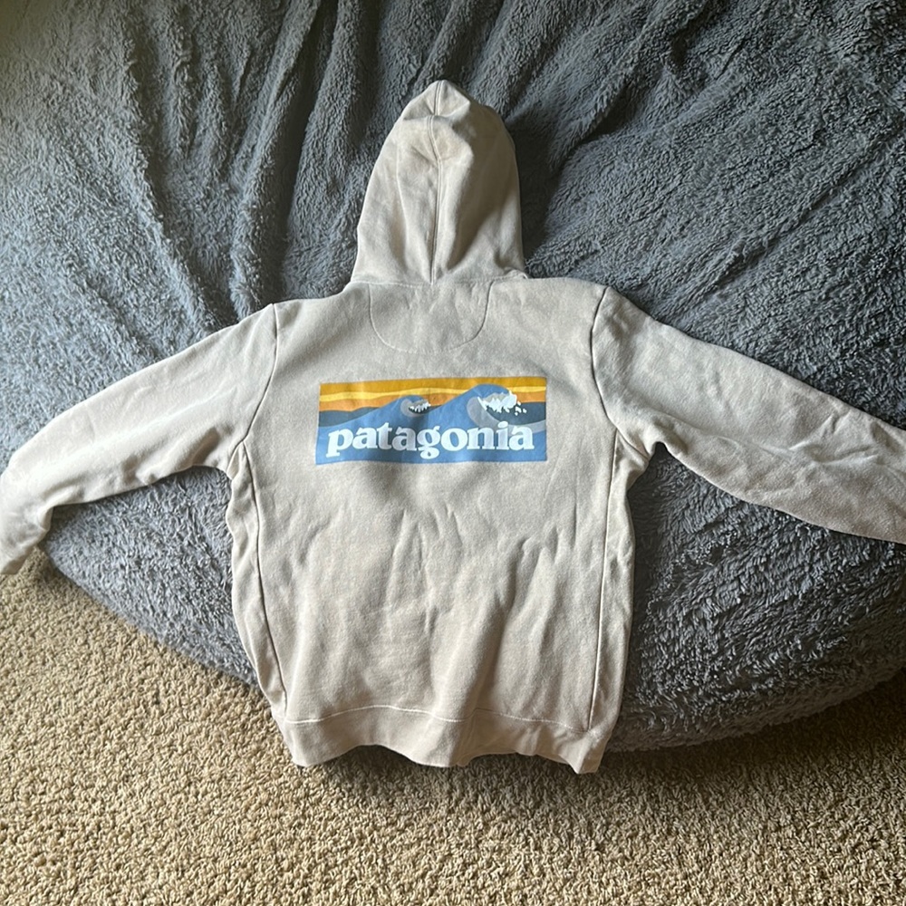 Patigona men’s large hoodie worn only handful time warm and cozy.
